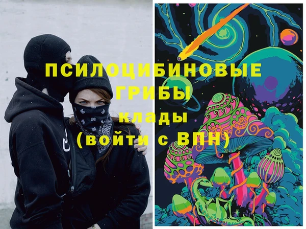 прущий лед Каменка