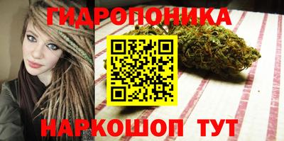 шишки Севастополь