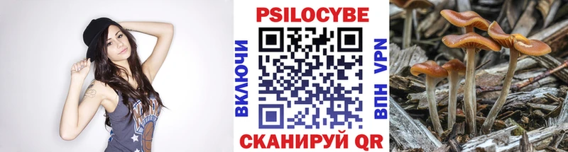 цены Усть-Илимск Галлюциногенные грибы GOLDEN TEACHER
