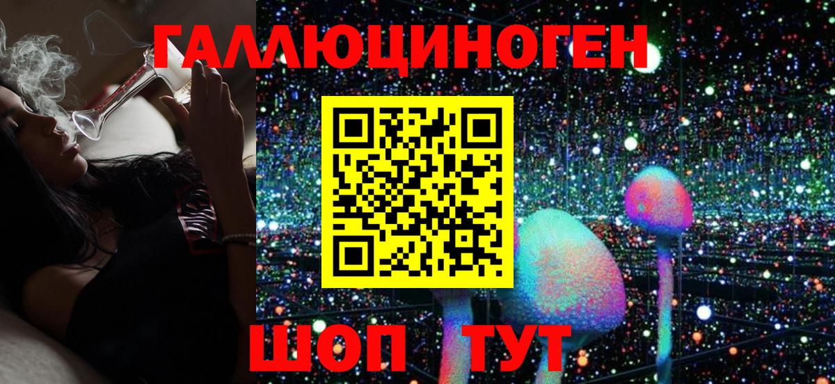 Галлюциногенные грибы Psilocybe Усть-Илимск