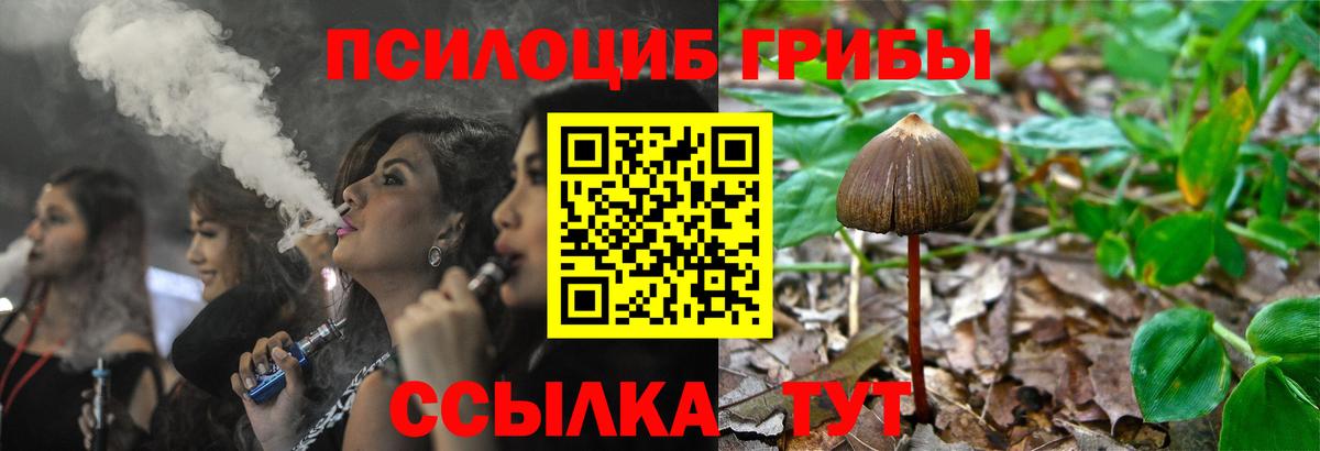 Псилоцибиновые грибы MAGIC MUSHROOMS  Псилоцибиновые грибы GOLDEN TEACHER  Усть-Илимск  Вход с VPN 